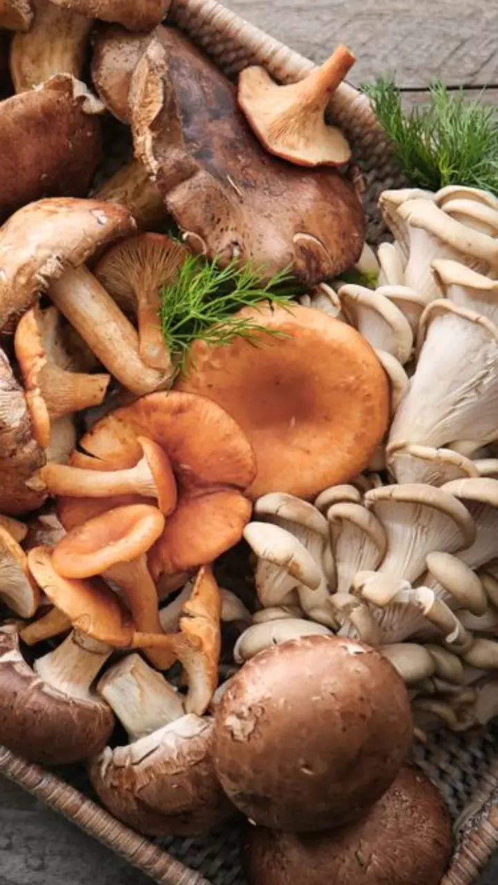 Cook mushrooms in 5 ways