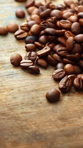 Beginners Guide To Types Of Coffee: Understanding The Basics