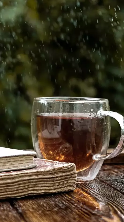 5 beverages to cosy up with this rainy season