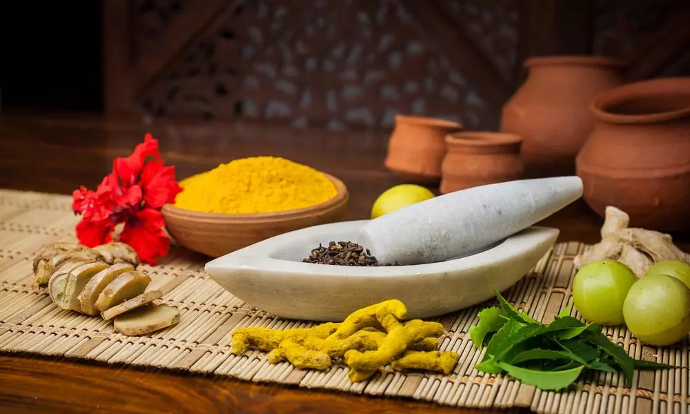 This National Ayurveda Day, we dive deep into the trusted and age-old system of healthcare