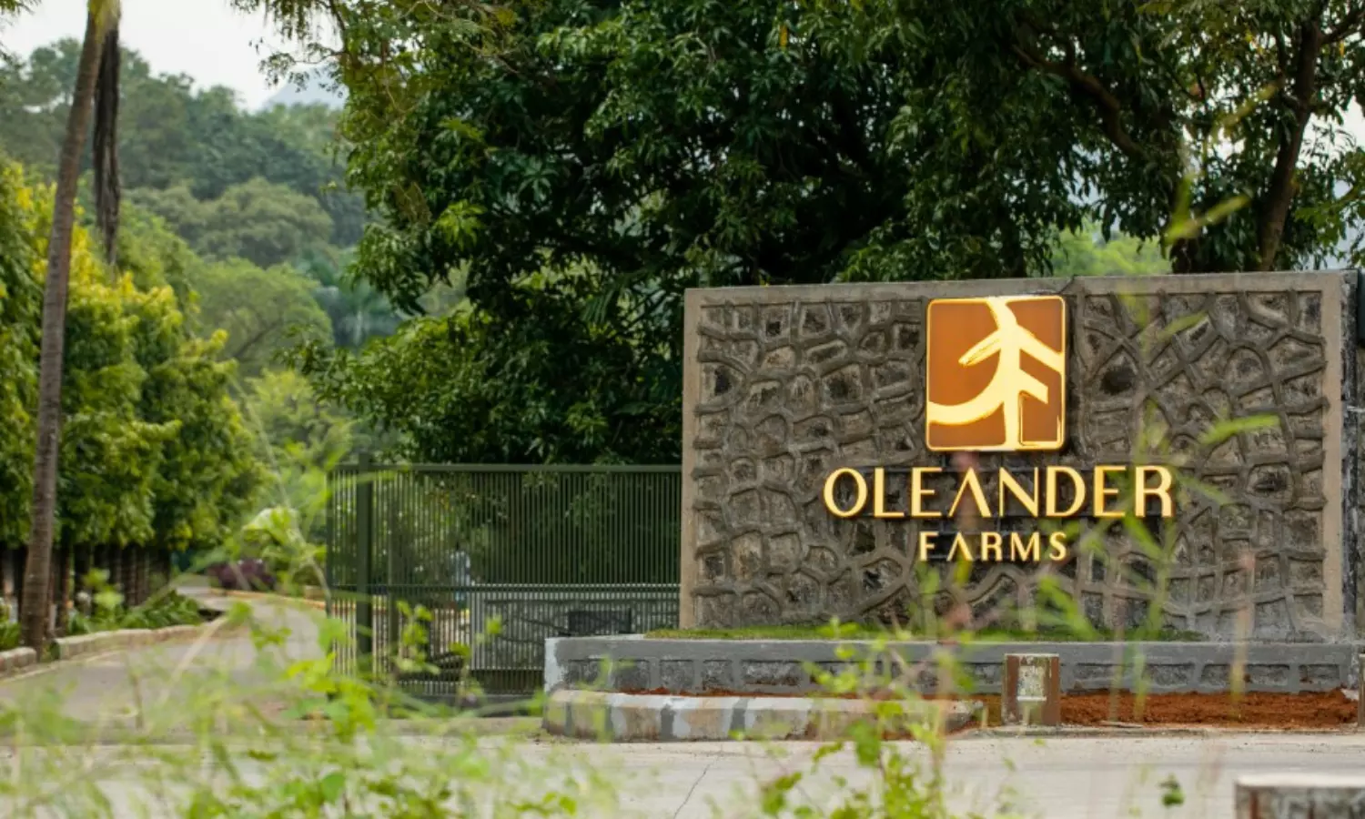 Discover the charm of Oleander Farms: the perfect getaway for foodies and anthophiles