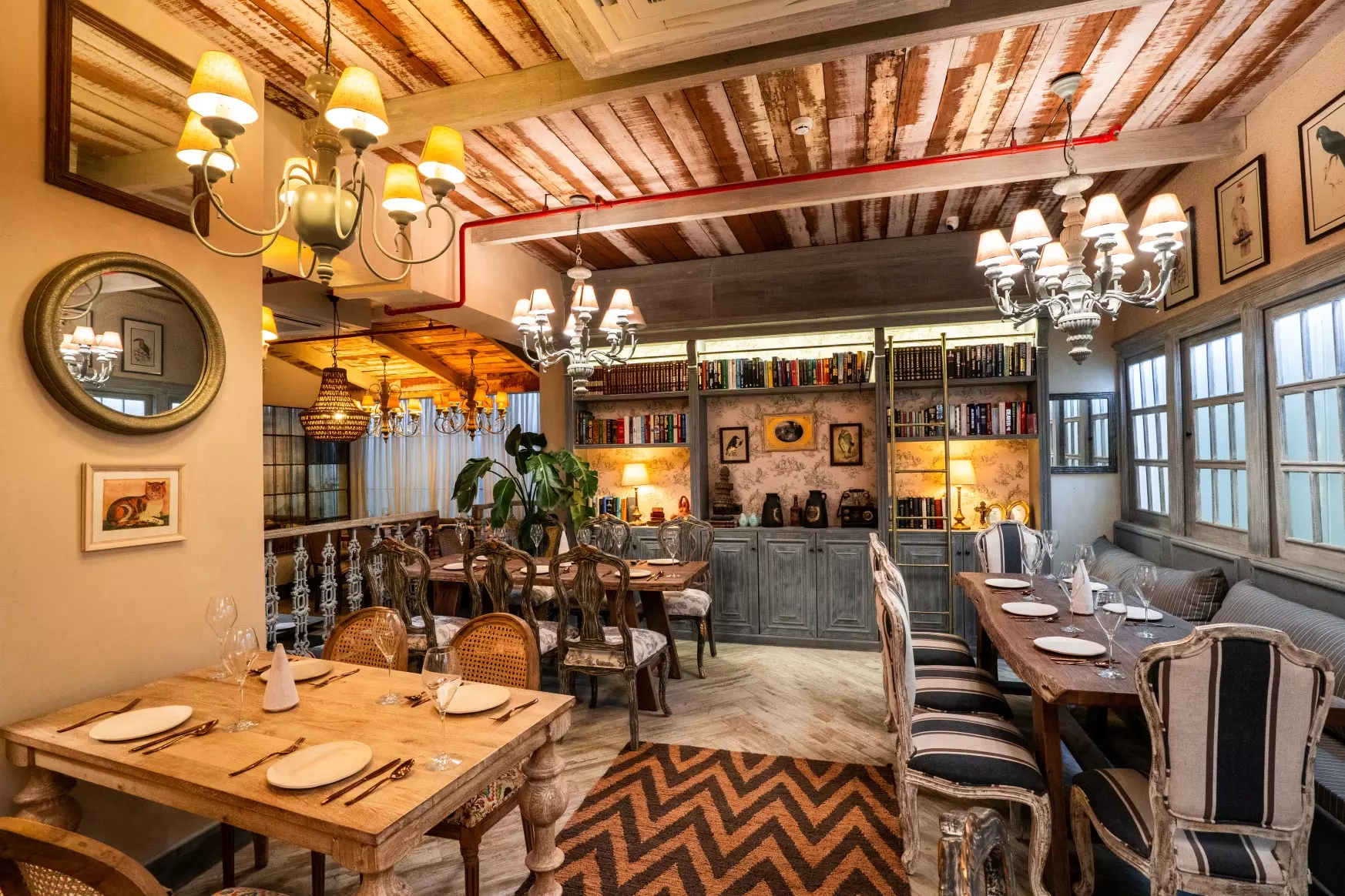 Don’t be shy, come say hi at Shy