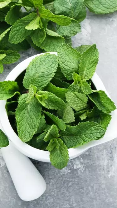 Know your ingredients: Mint Leaves