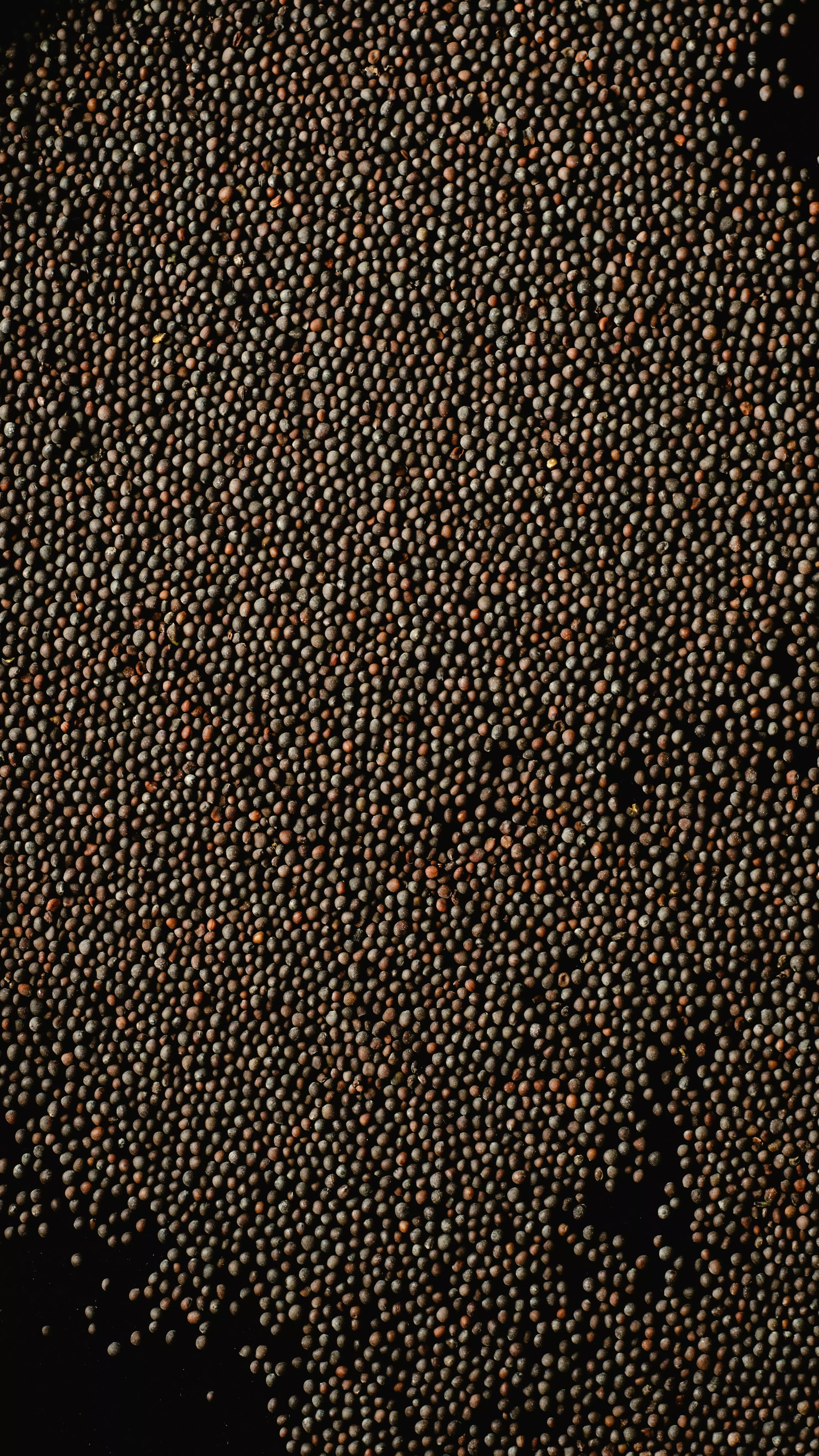 Know Your Ingredients: Mustard Seeds