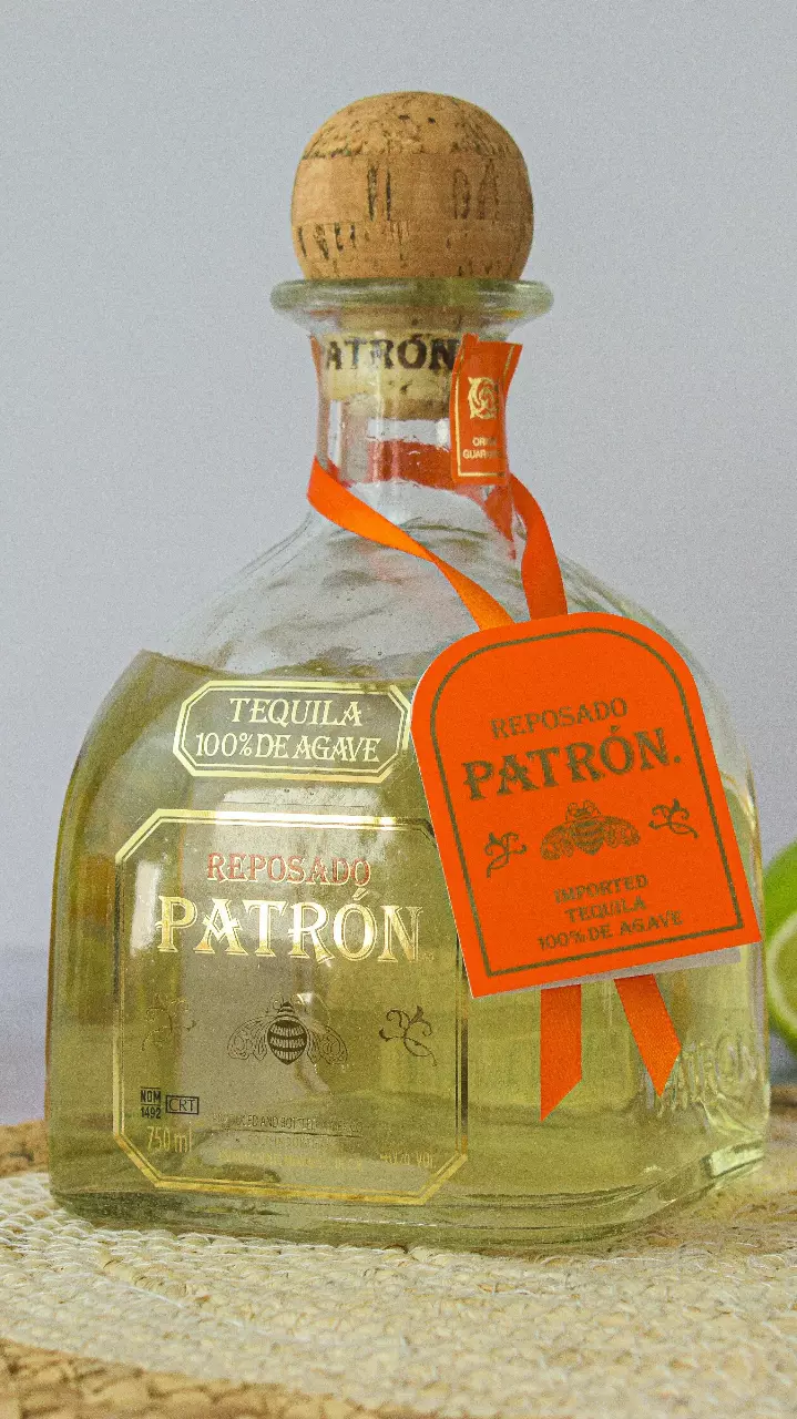 Discover the finest agave havens in India