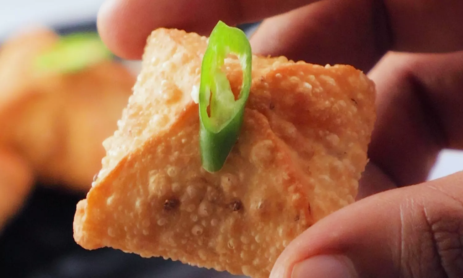 Samosa Bites