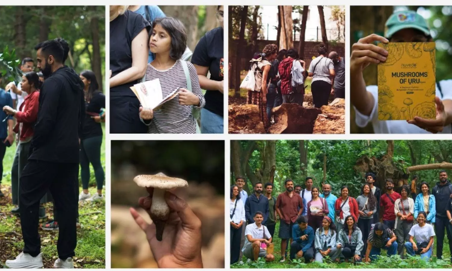 Mushrooms as a Meat Alternative: Transforming Diets with Nuvedo’s Innovative Solutions