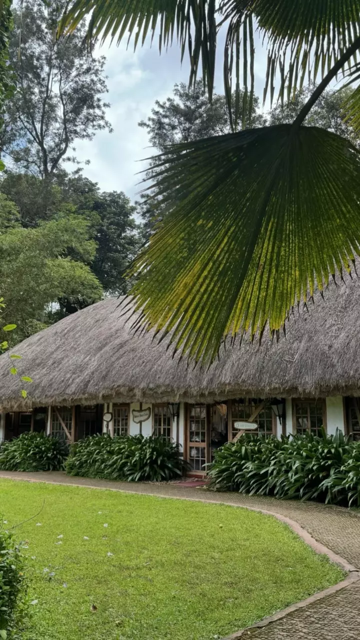 Visit Evolve Back in Coorg for some R&R