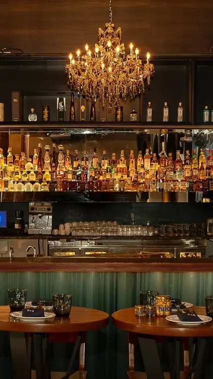 HyLo Shakes Up Mumbai with Heritage Flavors and Crafted Spirits