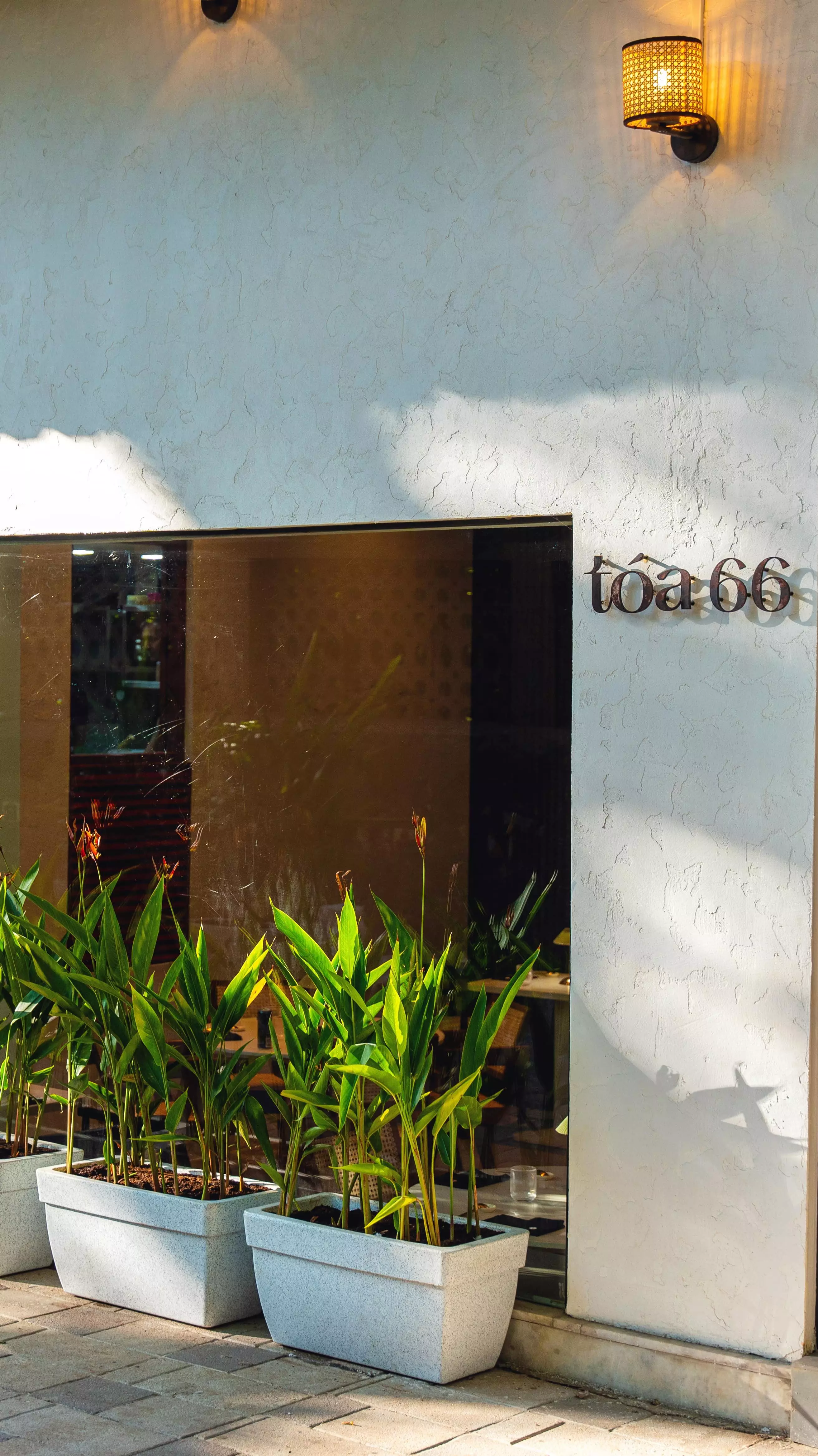 TÓA 66 - A Taste of Thailand, Reimagined