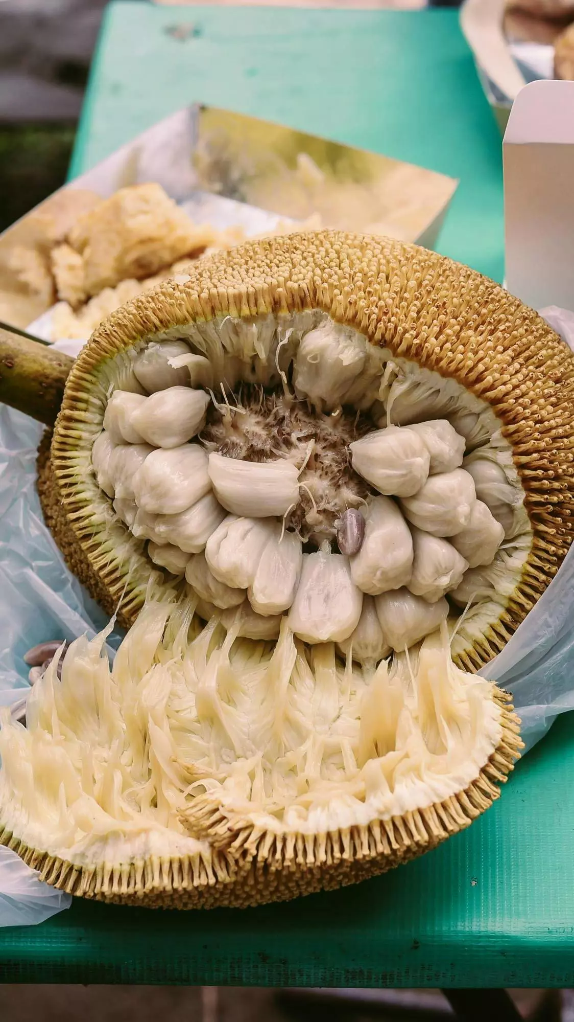 5 Jackfruit Recipes to Brighten Up Rainy Days