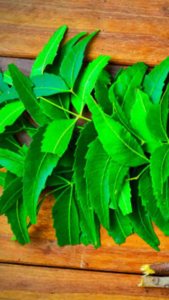 Know Your Ingredients: Neem