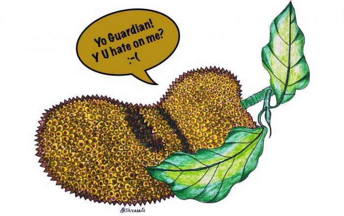 Jackfruit Illustration by Shreya Jalavadia