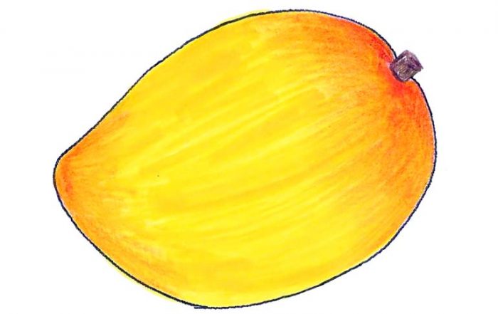 Alphonso Mango