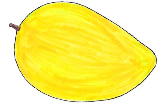 Chaunsa Mango