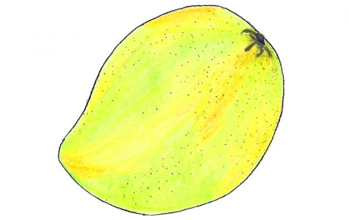 Himsagar Mango