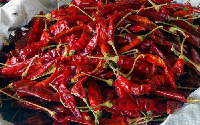 Guntur-Chillies