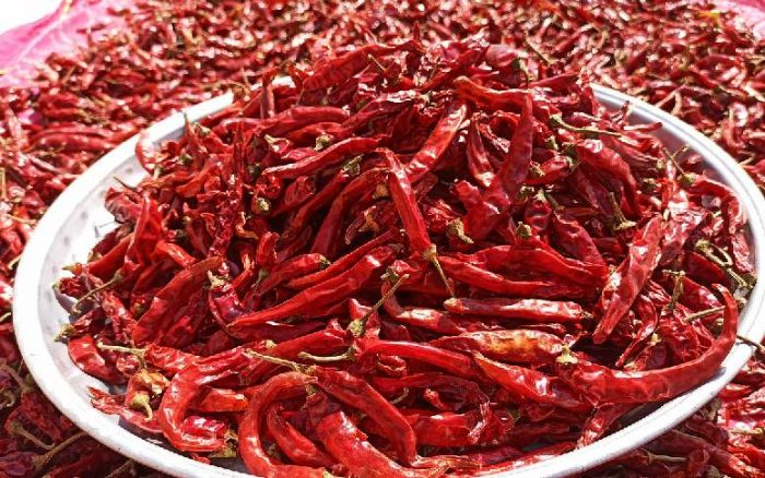 Kashmiri-Chillies